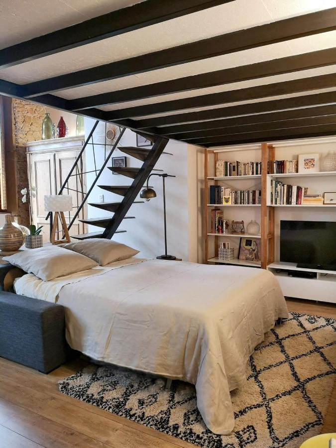 Authentic Loft With Mezzanine & Exposed Stones Heart Of Lyon Daire Dış mekan fotoğraf
